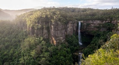 中巴婚姻状况调查结果怎么查 中巴跨国婚姻新政策👉