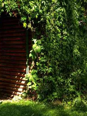 台湾婚姻状况调查结果2020年 台湾结婚率是多少👉