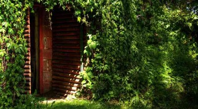 俄罗斯大学生的婚姻观调查 俄罗斯婚姻介绍价格👉