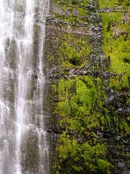 银行贷款会调查婚姻状况吗 银行贷款会查以前的婚姻状态吗👉