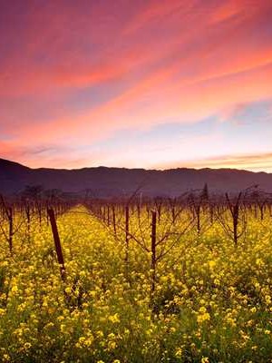 福建家庭婚姻感情调查报告 福建婚姻观👉