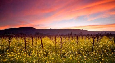 南湖区婚姻家庭调查中心 南湖区婚姻登记预约👉