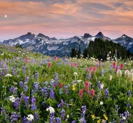 中国异地婚姻调查报告模板 异地婚姻 知乎👉