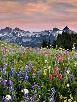 中国异地婚姻调查报告模板 异地婚姻 知乎👉