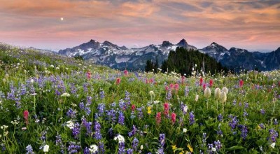 中国异地婚姻调查报告模板 异地婚姻 知乎👉