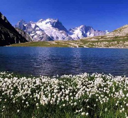 2022年江苏省婚姻大数据调查 江苏婚姻程序三个阶段👉