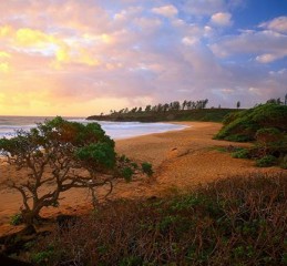 汶上婚姻家庭调查报告 汶上婚姻家庭调查报告👉