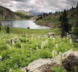 关于大学生恋爱婚姻观的调查报告 关于大学生恋爱婚姻观的调查报告范文👉