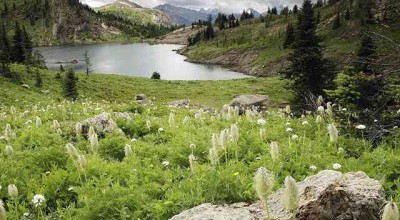 关于大学生恋爱婚姻观的调查报告 关于大学生恋爱婚姻观的调查报告范文👉
