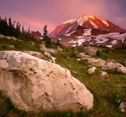 内蒙古自治区婚姻状况调查 内蒙古自治区婚姻登记网上预约官网👉