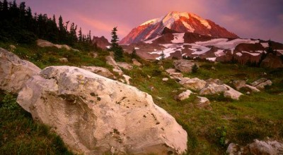 内蒙古自治区婚姻状况调查 内蒙古自治区婚姻登记网上预约官网👉