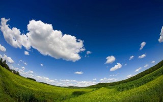 室友要挽回爱情 室友要分手怎么办👉