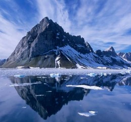 婚姻状况调查表去哪里盖章 婚姻状况调查表你们都是去哪盖得章👉