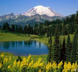 婚姻调查取证违法吗知乎全文 婚姻调查机构是不是真👉