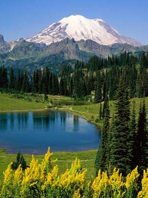 婚姻调查取证违法吗知乎全文 婚姻调查机构是不是真👉