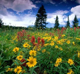 社工考试问卷调查你的婚姻状态 社工问卷调查表👉