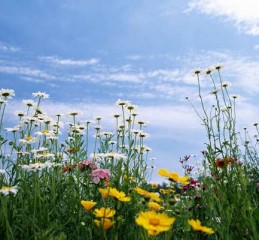 上海婚姻出轨调查取证机构地址 上海婚后出轨调查👉