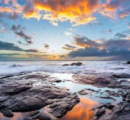 婚姻有忠诚调查报告吗女性 婚姻忠诚书具有法律效力吗👉