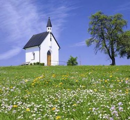 背叛爱情挽回 背叛挽回的句子👉