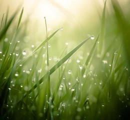 大学生婚姻爱情价值观调查 大学生恋爱婚姻观调查与分析👉