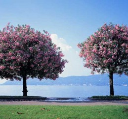 湖北老婆婚姻现状调查结果 湖北老婆叫什么👉