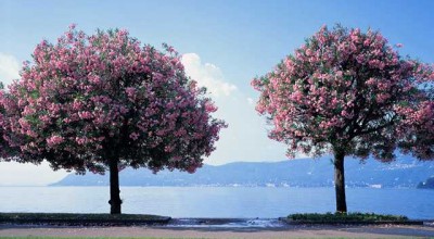 湖北老婆婚姻现状调查结果 湖北老婆叫什么👉