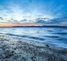 上海市婚姻调查取证中心地址 上海婚姻调查取证公司👉