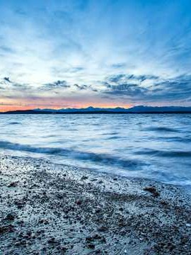 王飞婚姻情感调查结果如何 王飞的老婆叫什么名字👉