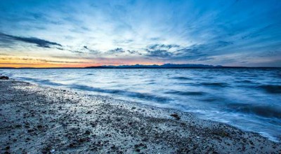 上海市婚姻调查取证中心地址 上海婚姻调查取证公司👉