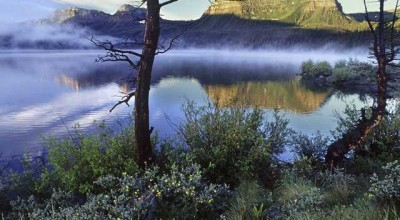 城镇青年婚姻调查报告范文 大龄青年婚姻状况调查👉