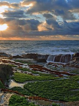 女性婚姻观念调查报告 女性婚姻观念调查报告怎么写👉