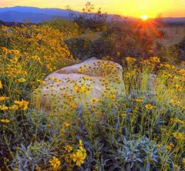 邯郸小伙婚姻调查报告全文 邯郸小伙婚姻调查报告全文下载👉