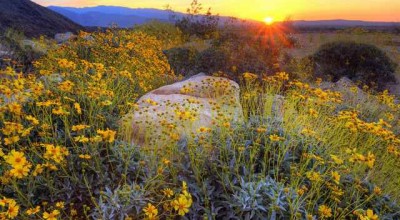 邯郸小伙婚姻调查报告全文 邯郸小伙婚姻调查报告全文下载👉