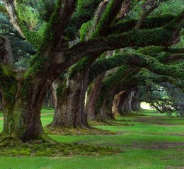 婚姻调查问卷男朋友朋友圈 婚姻调查问卷统计👉