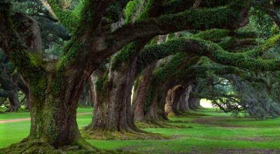 婚姻调查问卷男朋友朋友圈 婚姻调查问卷统计👉