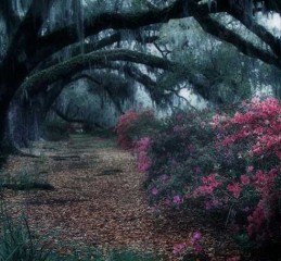 公证处要调查婚姻情况吗 公证需要调查吗👉