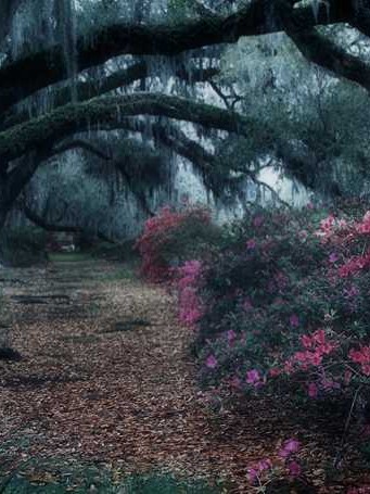 跨国婚姻登记事项调查表 跨国婚姻手续流程👉