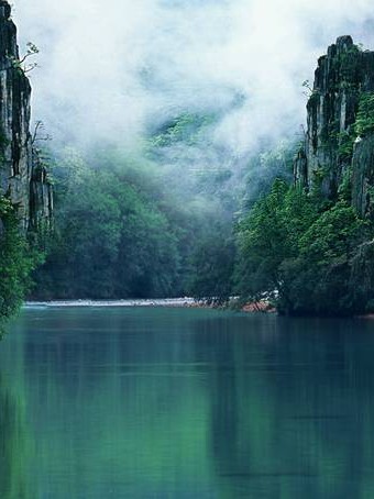 泸州市婚姻调查公司有吗 泸州婚姻律师事务所有几家?👉