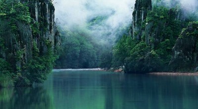 婚姻生育情况调查核实表 婚育情况调查表怎么填👉