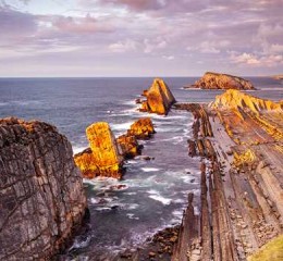 挽回爱情的四个理由 挽回爱情的句子唯美短句👉