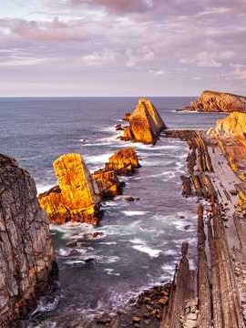 医护人员婚姻状况调查表 医护人员调查报告👉