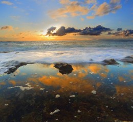 男性职场婚姻状况调查报告 男性婚恋市场👉