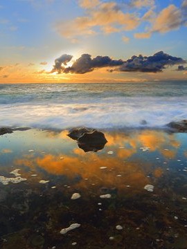 男性职场婚姻状况调查报告 男性婚恋市场👉