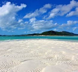 婚姻家庭刑事辩护状况的调查 家庭婚姻案件👉