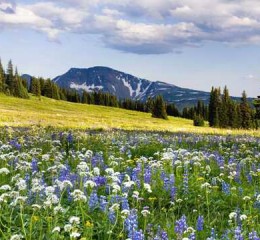 北京房山调查婚姻咨询电话 北京房山婚姻登记预约👉