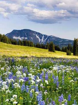 关于婚姻冷静期的调查问卷 婚姻冷静期间背后的意义👉