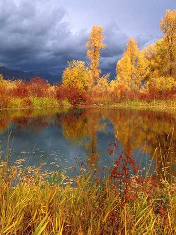 张家口婚姻调查取证机构 张家口市婚姻登记处👉