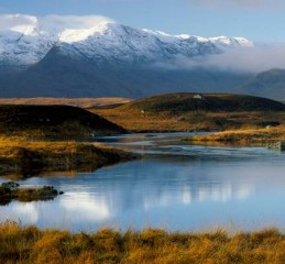 重庆90后的婚姻调查报告 90后婚姻情况👉