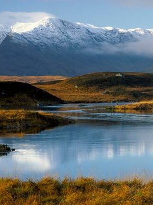 重庆90后的婚姻调查报告 90后婚姻情况👉