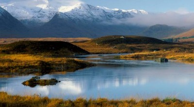 婚姻观和爱情观问卷调查 婚姻观问题👉